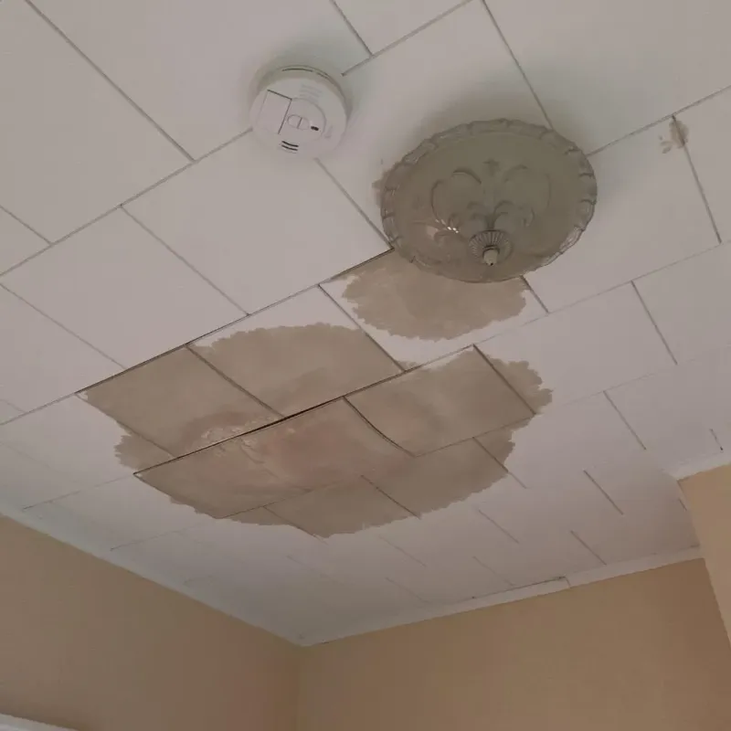 Ceiling Water Damage Repair in Bridgeport, CT