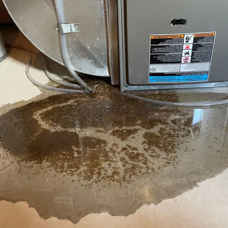 Pipe Burst and Leak Restoration in Bridgeport, CT