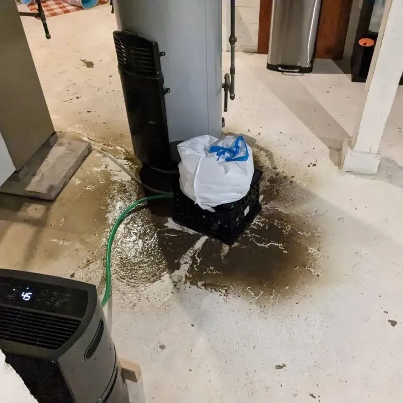 Sewage Backup Cleanup Service in Bridgeport, CT